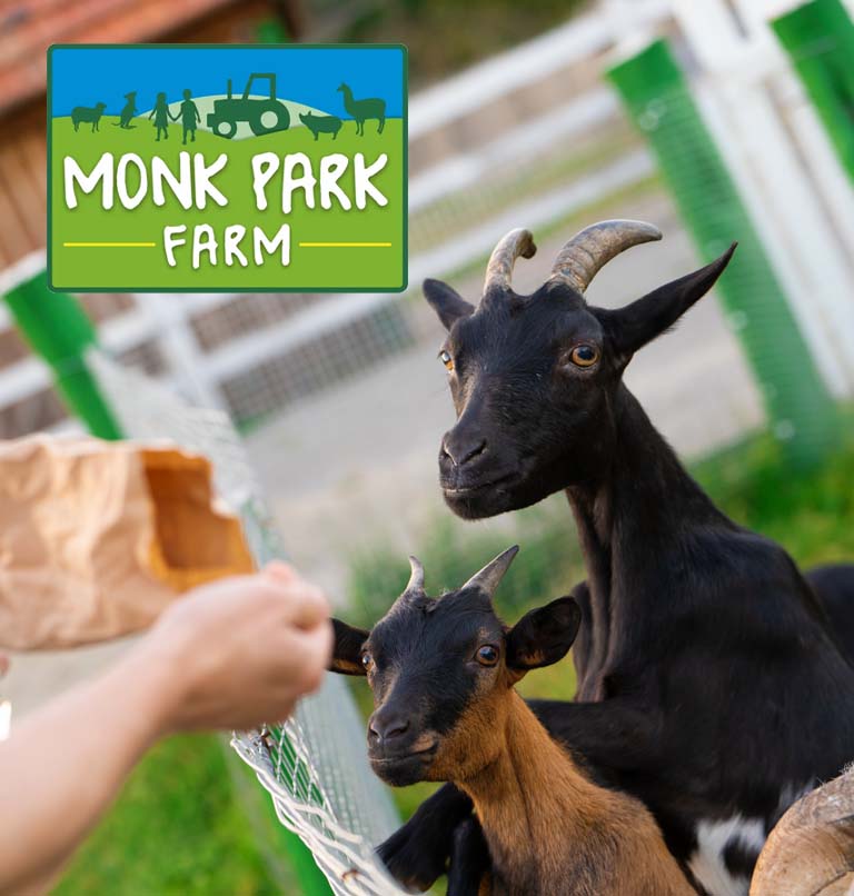 Monk Park Farm