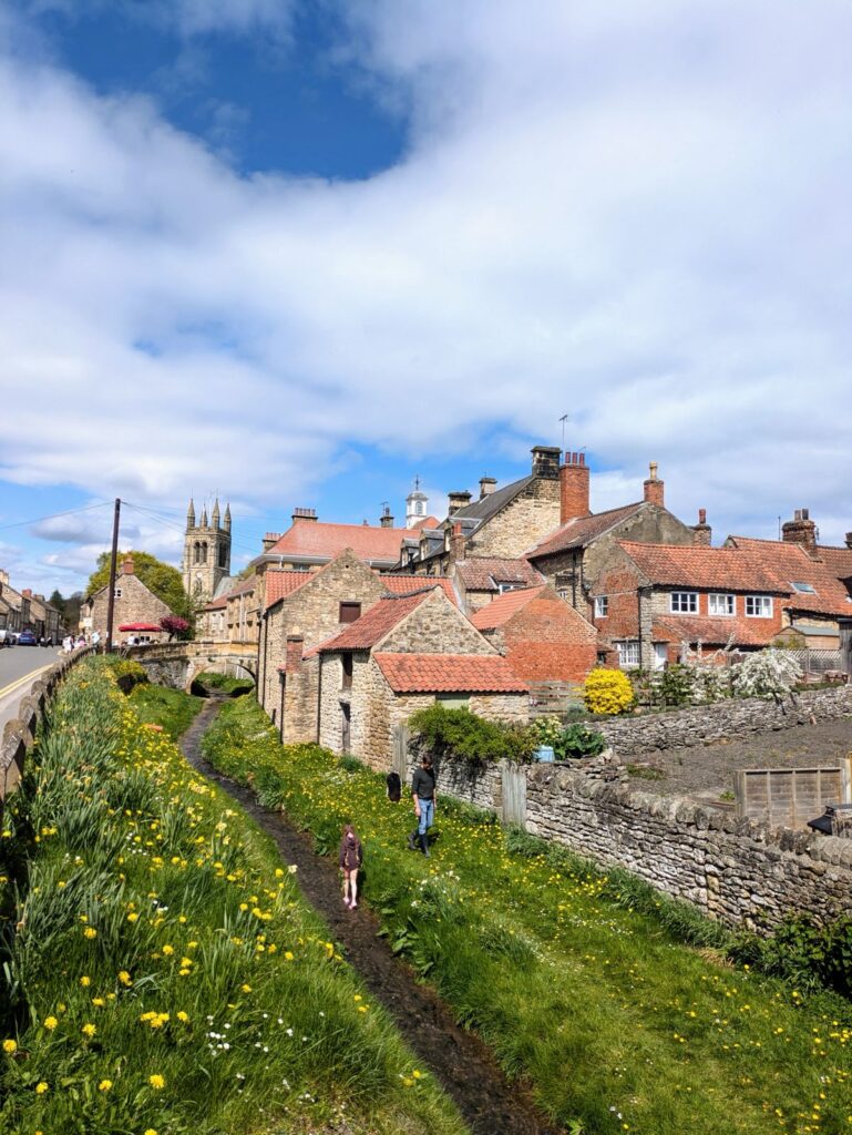 Helmsley town